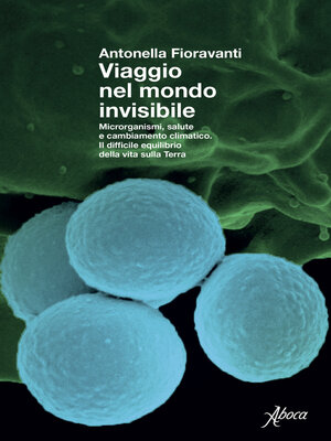 cover image of Viaggio nel mondo invisibile